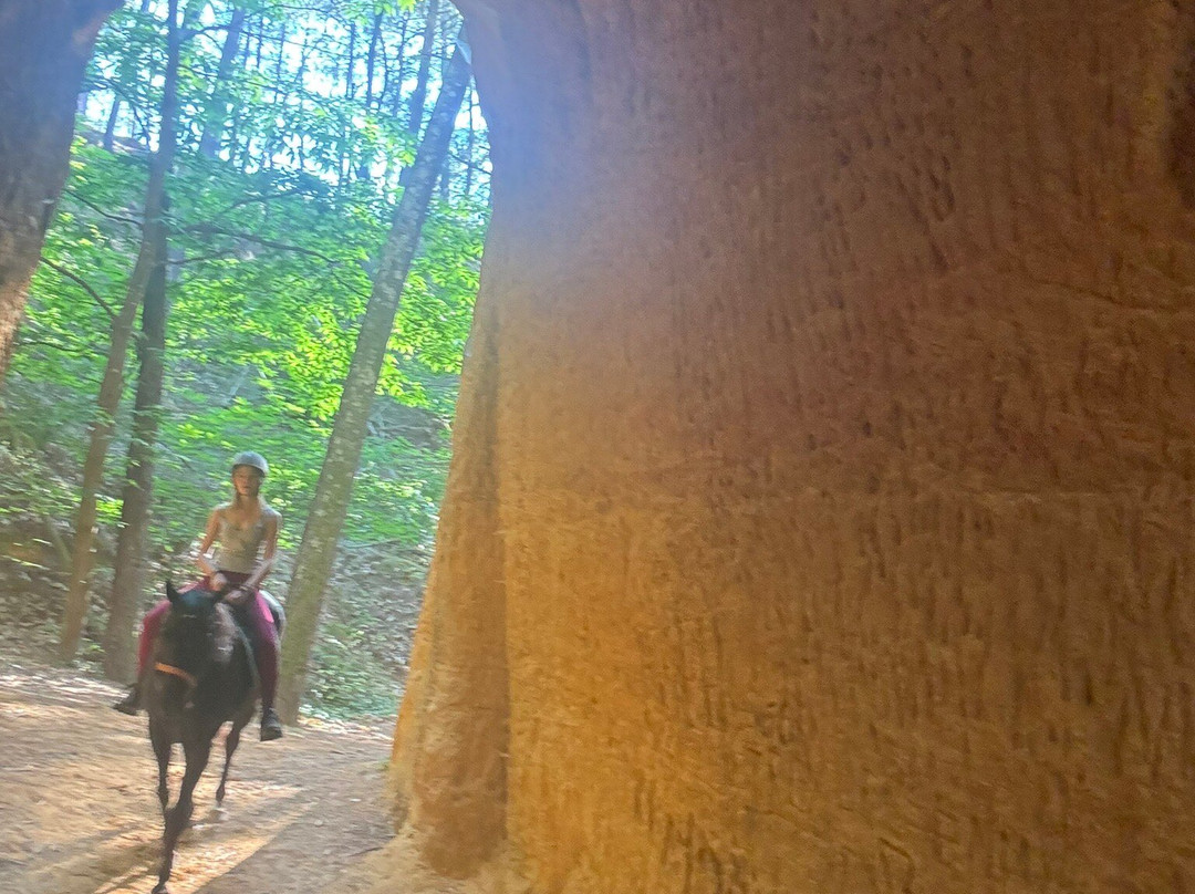 Provence Hipposervices-Saint-Saturnin-les-Apt必去景点
