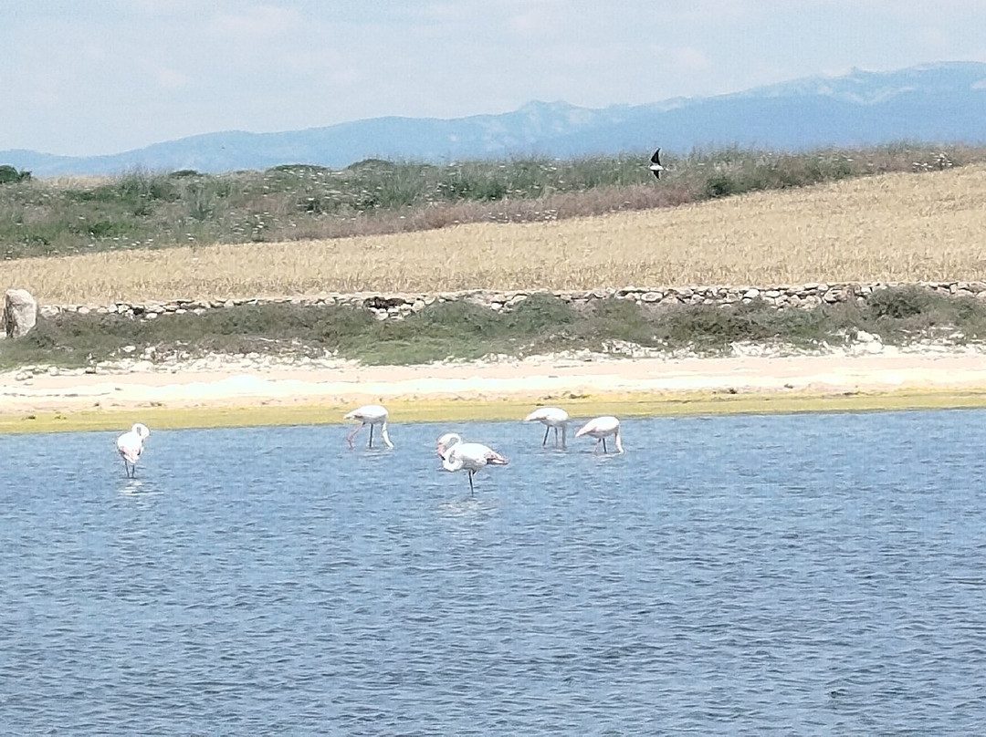 Spiaggia Mari Ermi-卡布拉斯必去景点