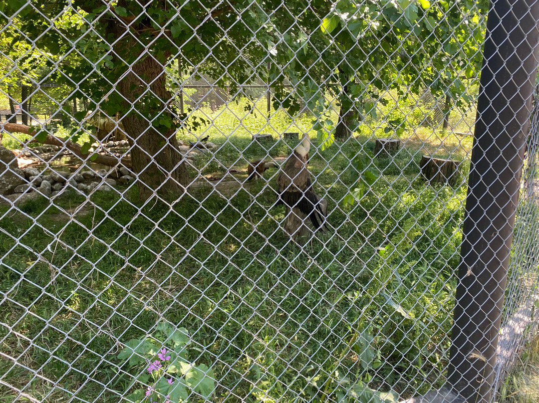 Skopje ZOO-斯科普里必去景点