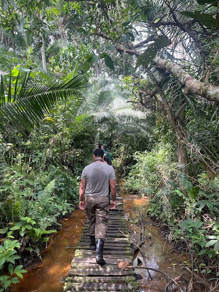 Bigodi Wetlands Sanctuary-Fort Portal必去景点