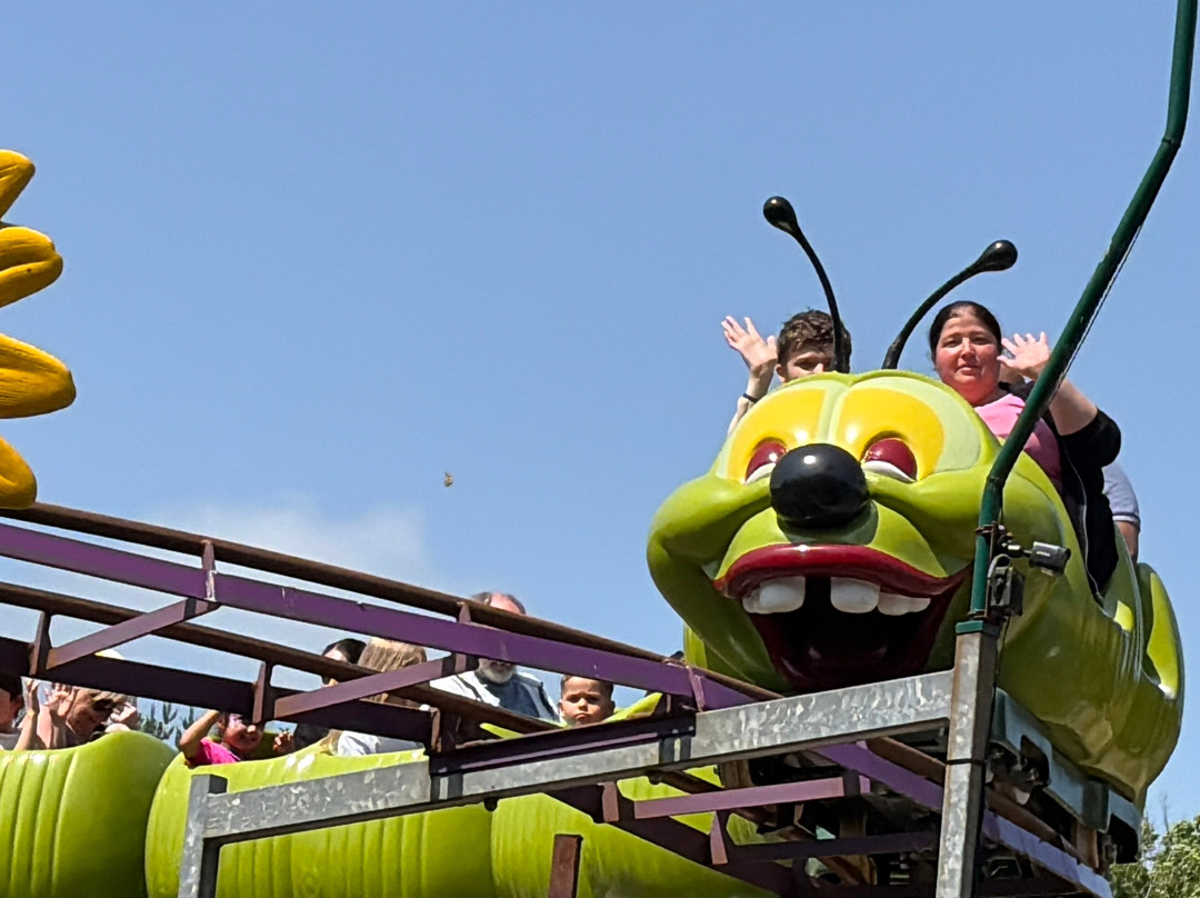 Lightwater Valley Family Adventure Park-North Stainley必去景点
