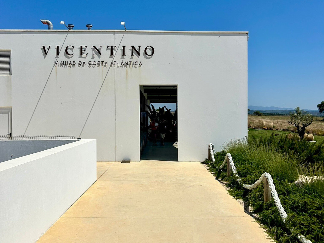 Vicentino Wines-Odemira必去景点