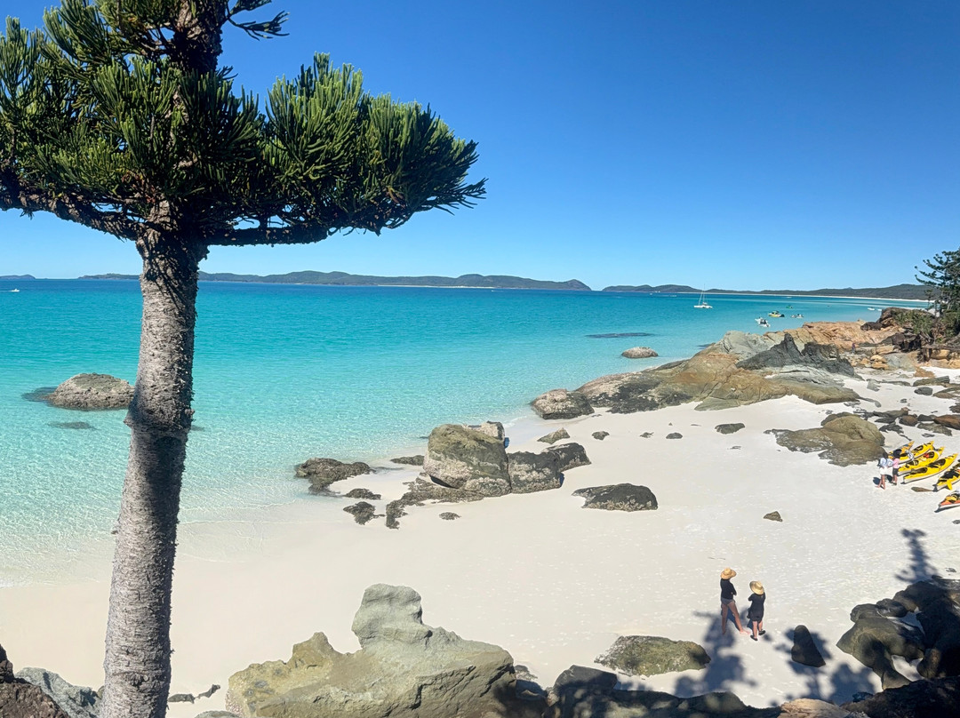 Salty Dog Sea Kayaking - Day Tours-舒特港必去景点