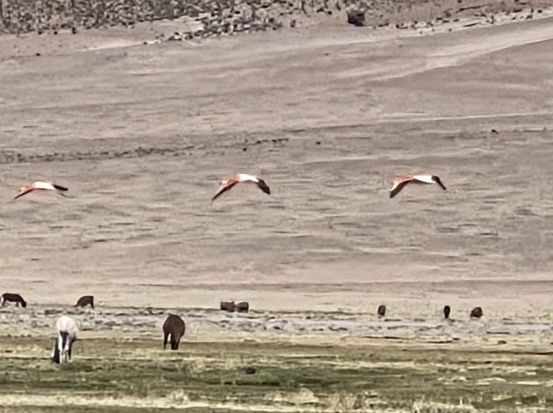 Bolivia Motorcycle Adventures-Samaipata必去景点