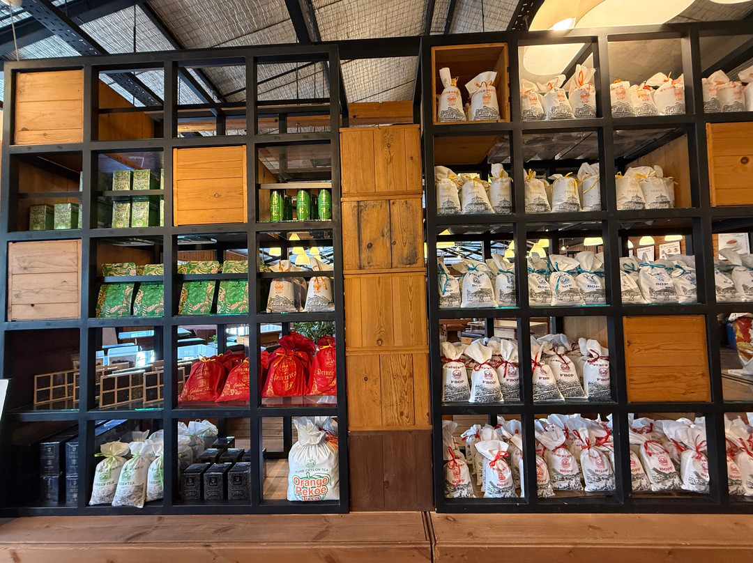 Pilimathalawa Tea Factory-Pilimathalawa必去景点