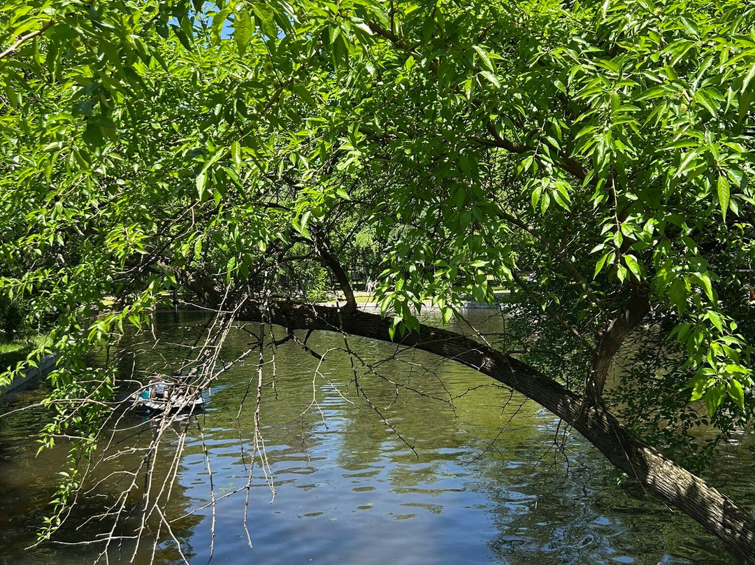 Cismigiu Parc-布加勒斯特必去景点