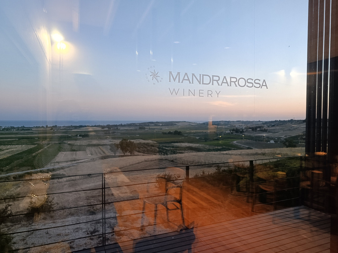 Mandrarossa Winery