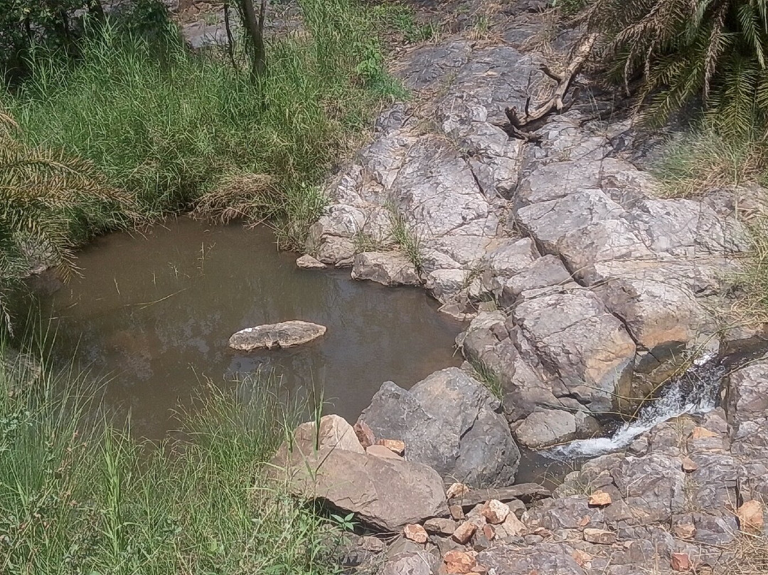 Sariska Tiger Reserve-阿尔瓦必去景点