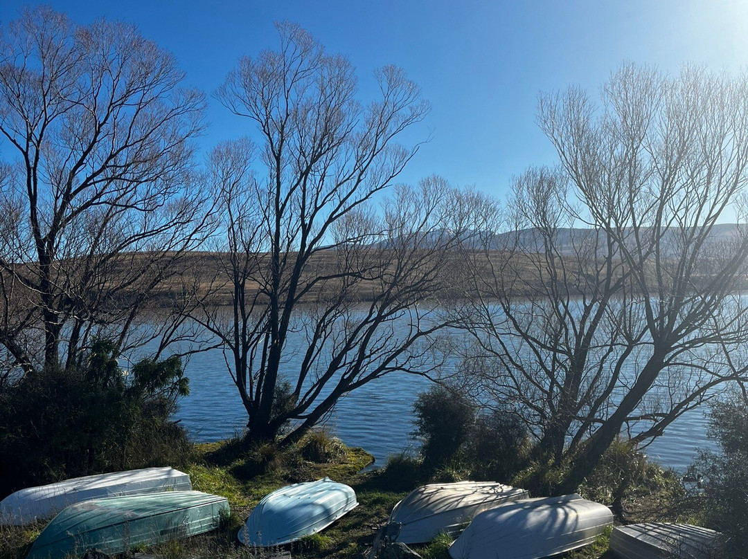 Lake Alexandrina-特卡波湖必去景点