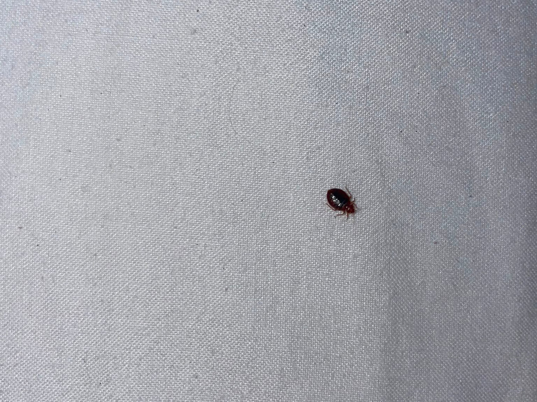 海上领事馆奥林匹亚酒店主图