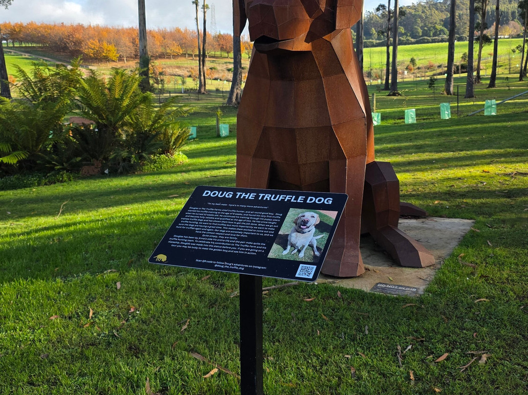 The Truffle Farm Tasmania-德洛兰恩必去景点