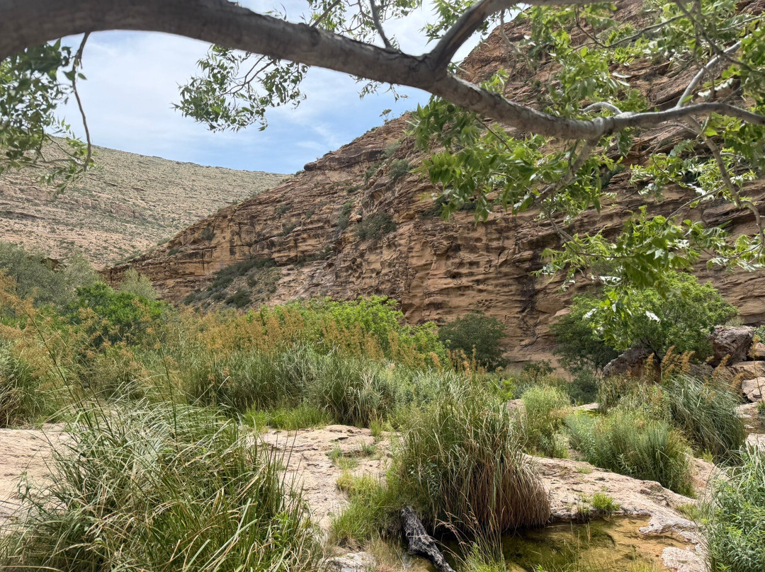 Sitting Bull Falls-卡尔斯巴德必去景点