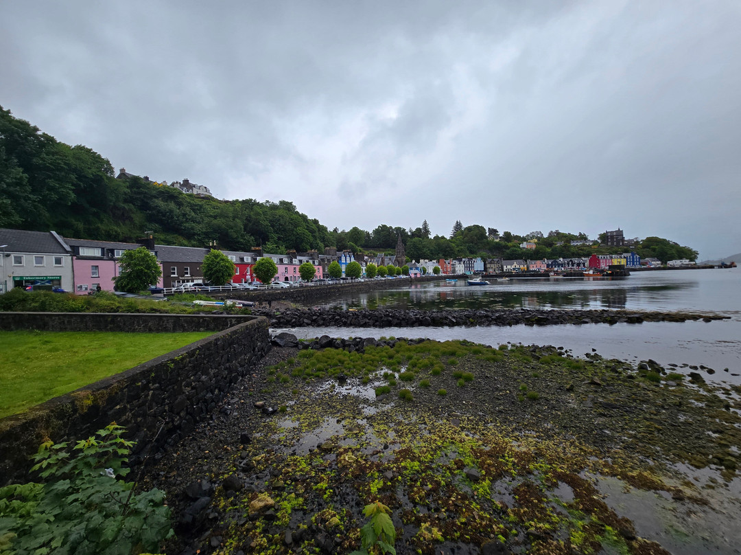 Tobermory Distillery & Visitor Centre-Tobermory必去景点