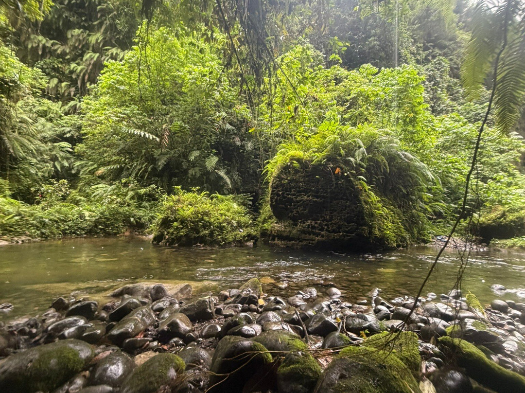 Millennium Cave-卢甘维尔必去景点
