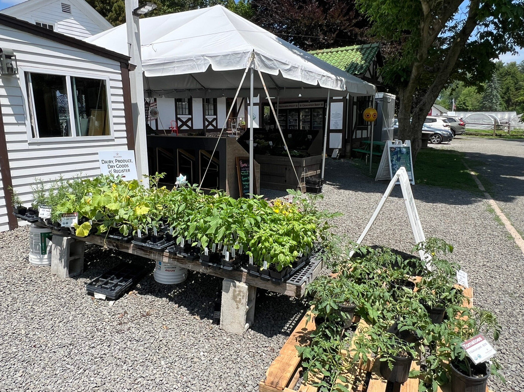 Closter Farm and Livestock Company