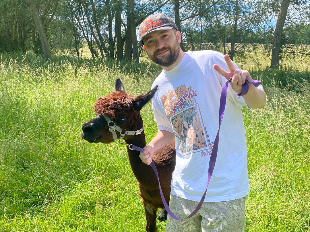 Blackwater Alpacas & Pygmy Goats-布伦特里必去景点