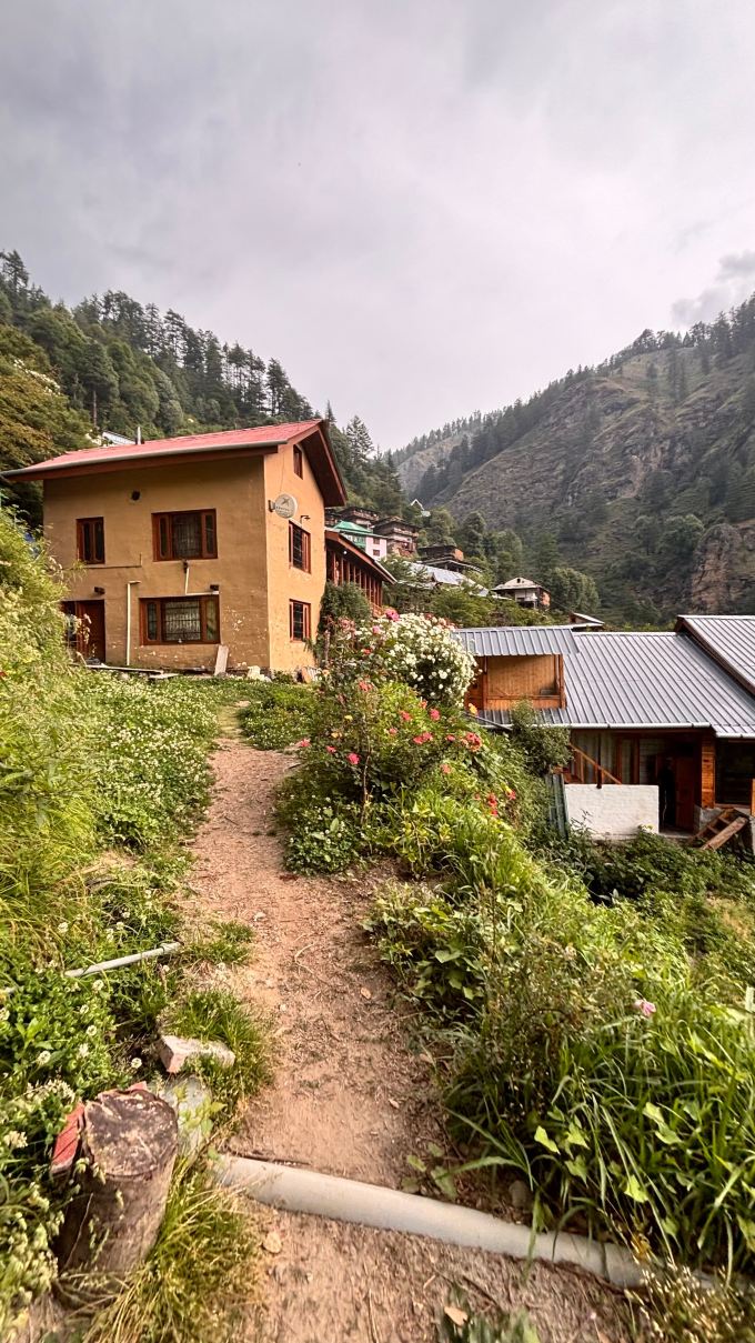 Zostel Homes Laida (Jibhi)-旅行者