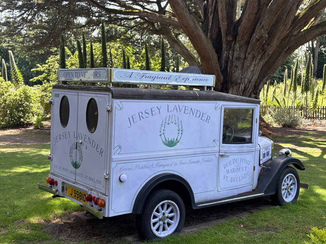 Jersey Lavender Farm-圣布雷拉德必去景点