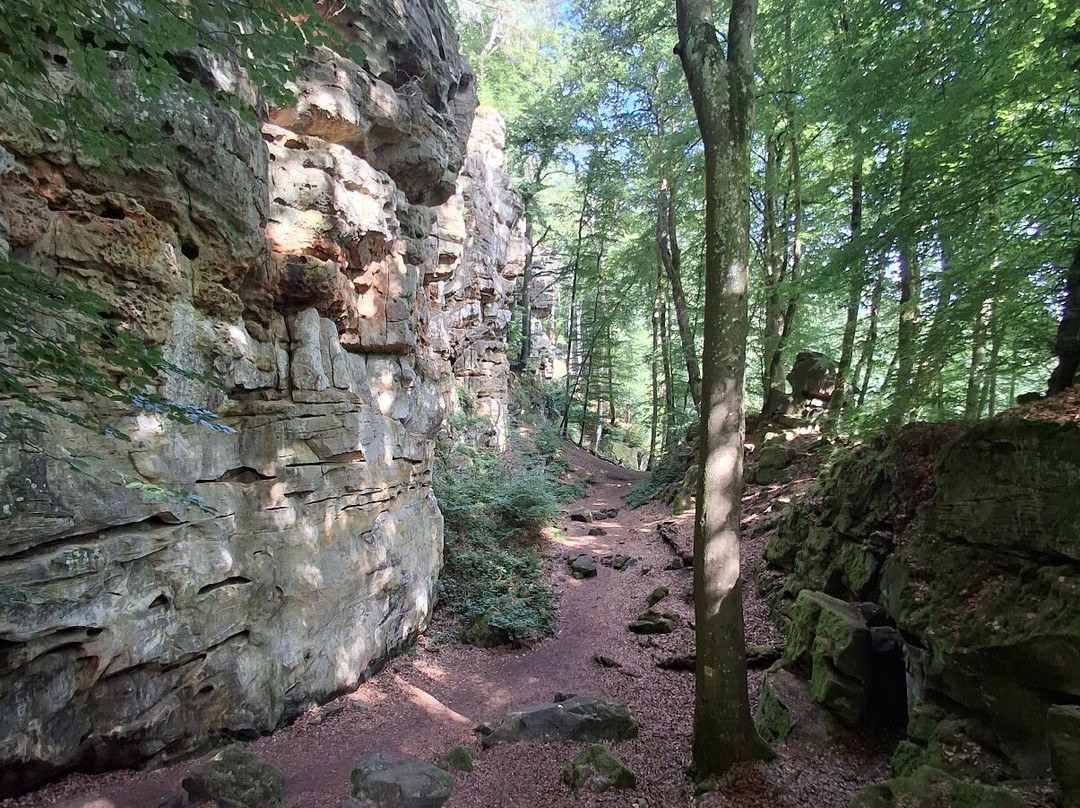 Naturparkzentrum Teufelsschlucht-Ernzen必去景点
