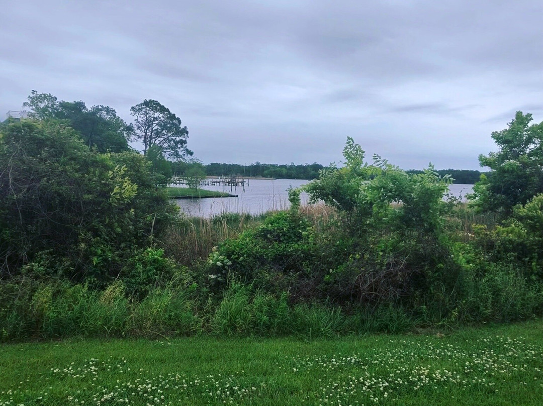 Sturgeon City Park-杰克森维尔必去景点