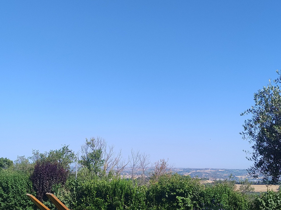 Il Giardino Delle Rose主图