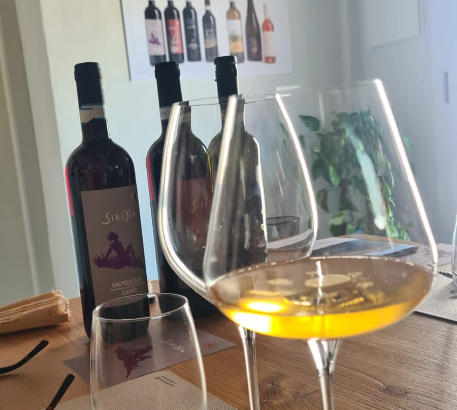 Cantina Siridia - Vini della Valpolicella
