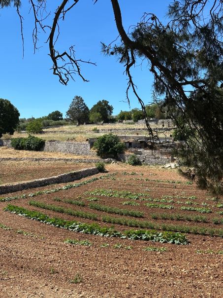 Masseria Trulli&Stelle B&B-旅行者