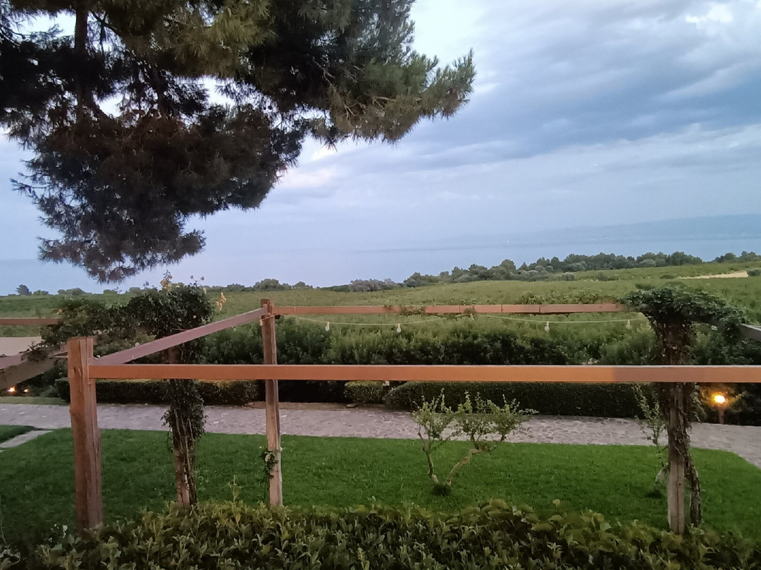 Masseria Agriturismo Torre di Albidona主图