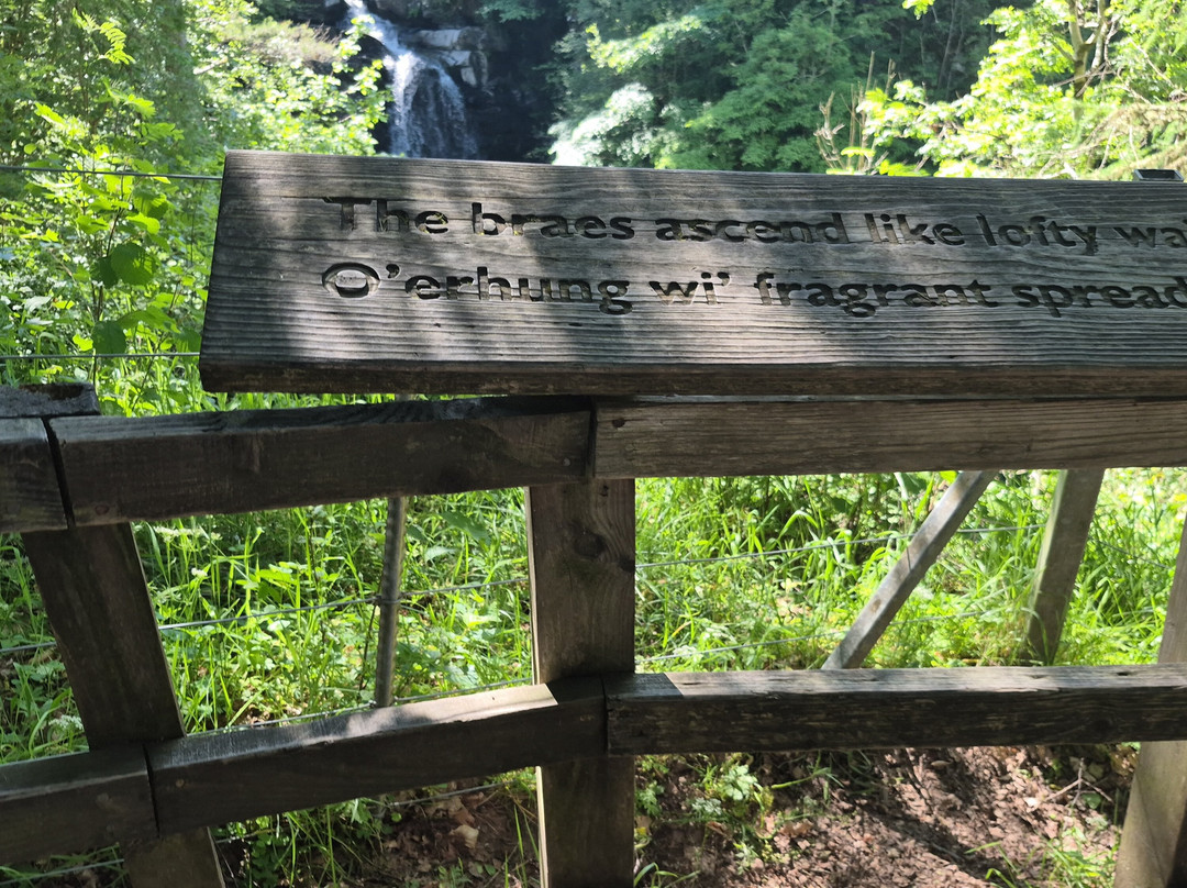 The Birks of Aberfeldy-Aberfeldy必去景点