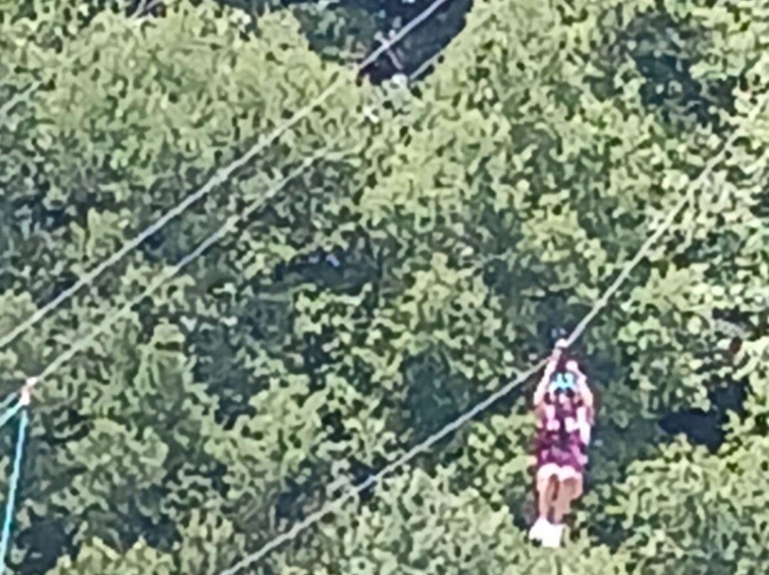 Red River Gorge Zipline-Campton必去景点