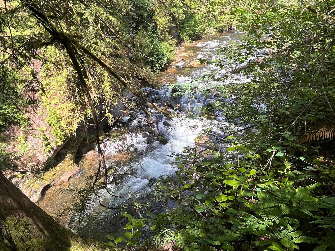 Green River Gorge Conservation Area-Enumclaw必去景点
