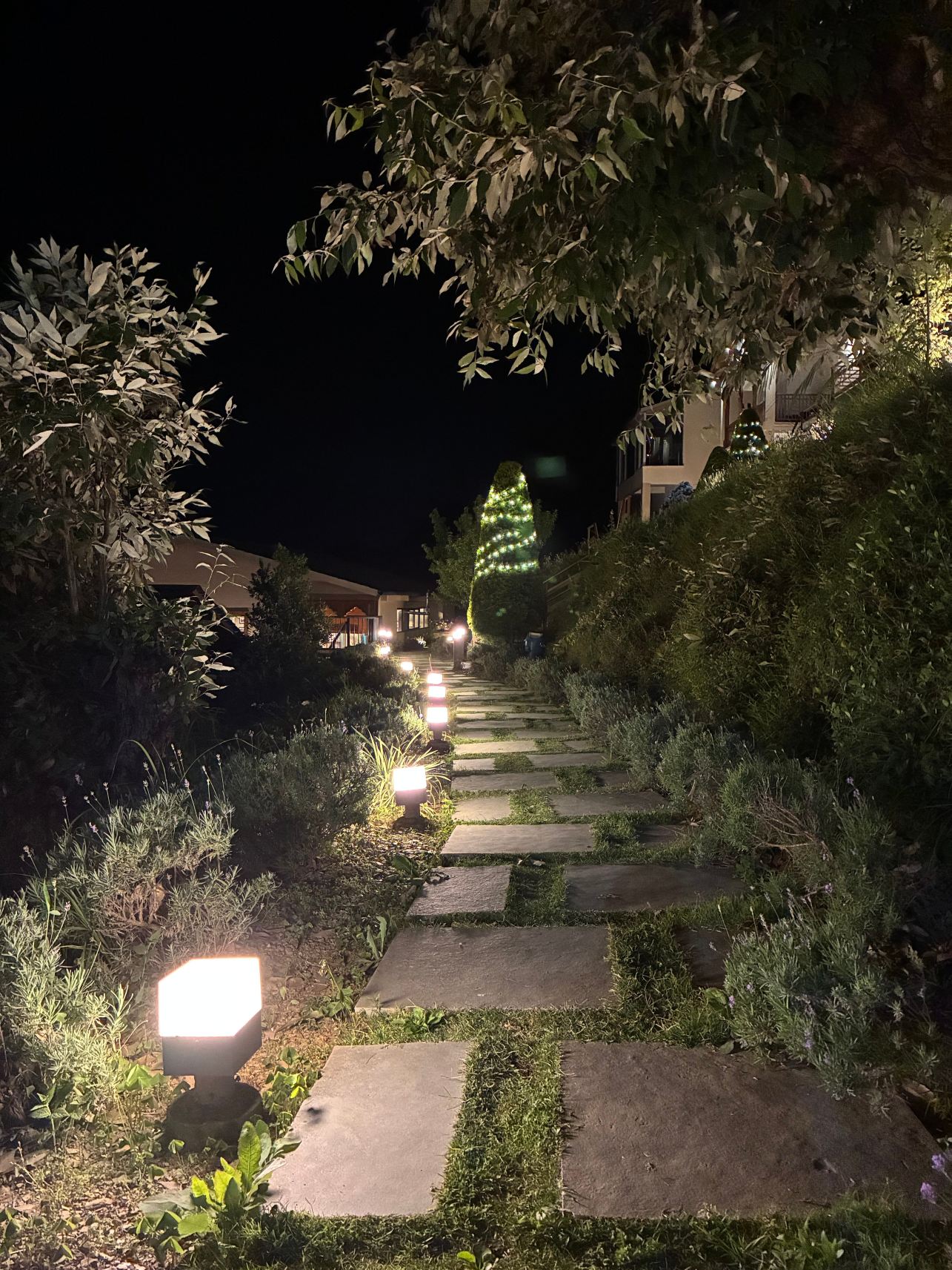 Rudraksh,喜马拉雅山度假村-旅行者