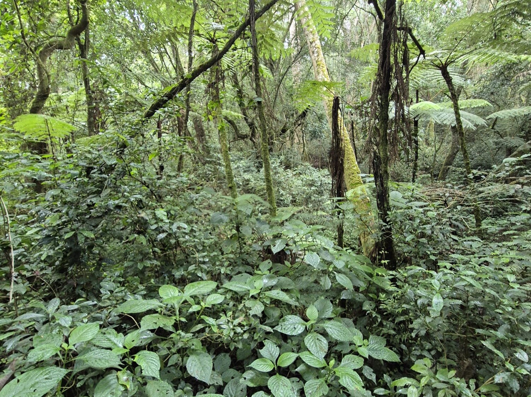 Usambara Eco Tours-卢绍托必去景点