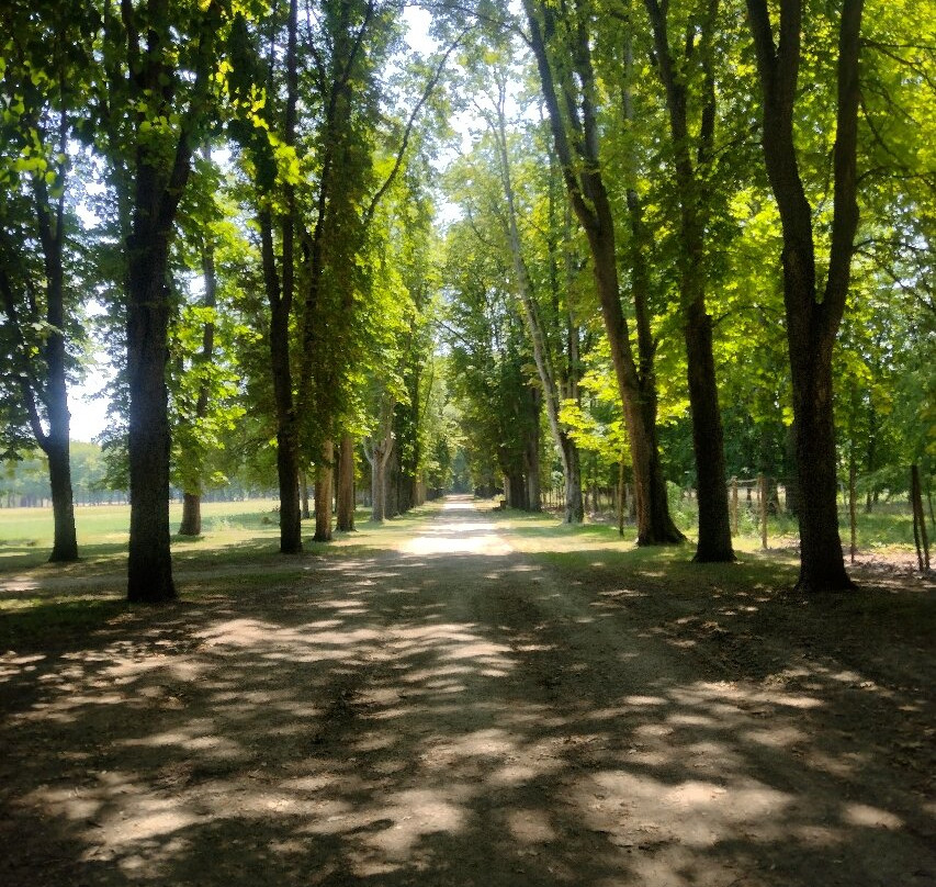 Parc de Richelieu-Richelieu必去景点