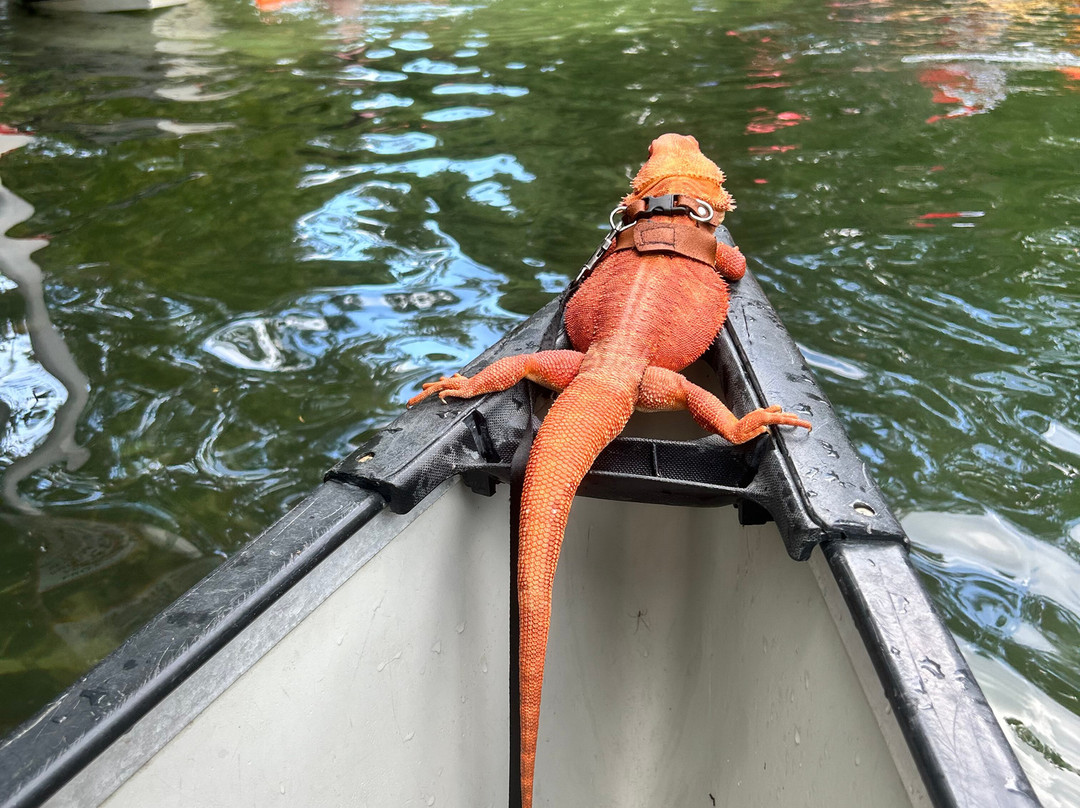 Weeki Wachee Marina-Weeki Wachee必去景点