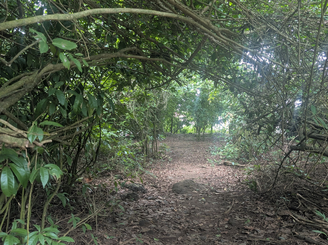 Xplora Tours-契特雷必去景点