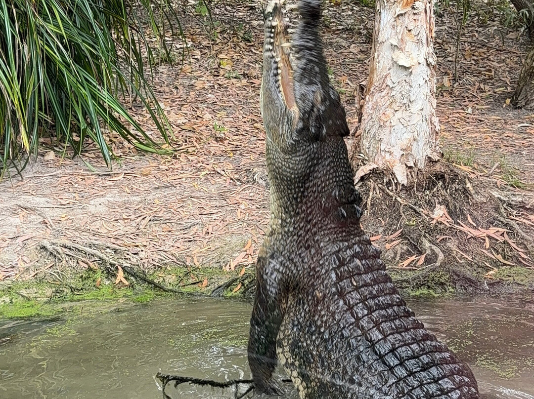 Hartley's Crocodile Adventures-Wangetti必去景点