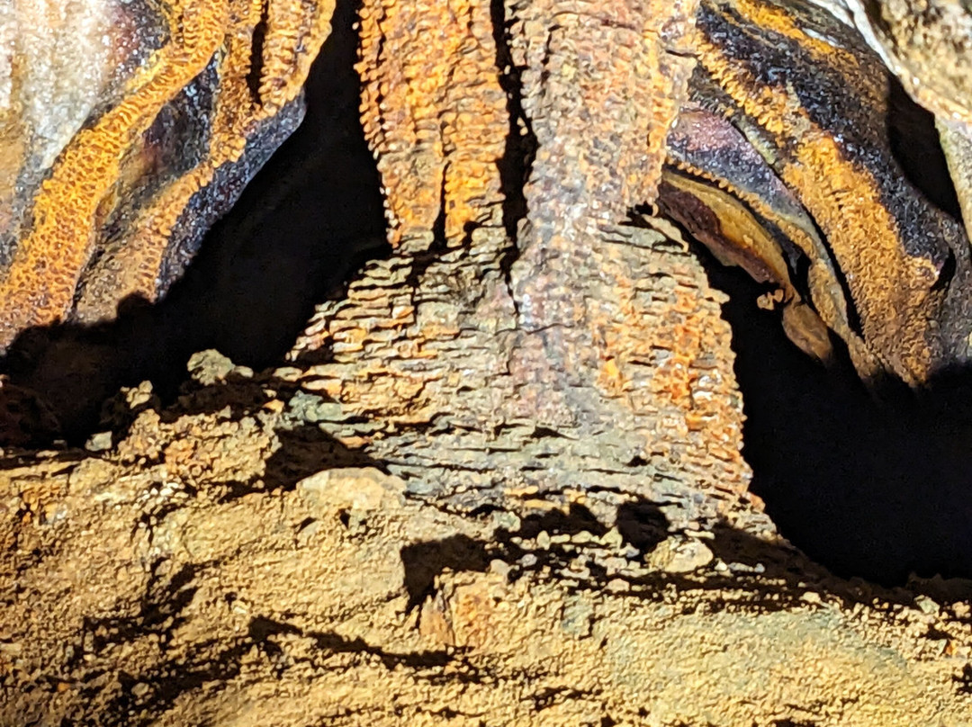 Ohio Caverns-West Liberty必去景点
