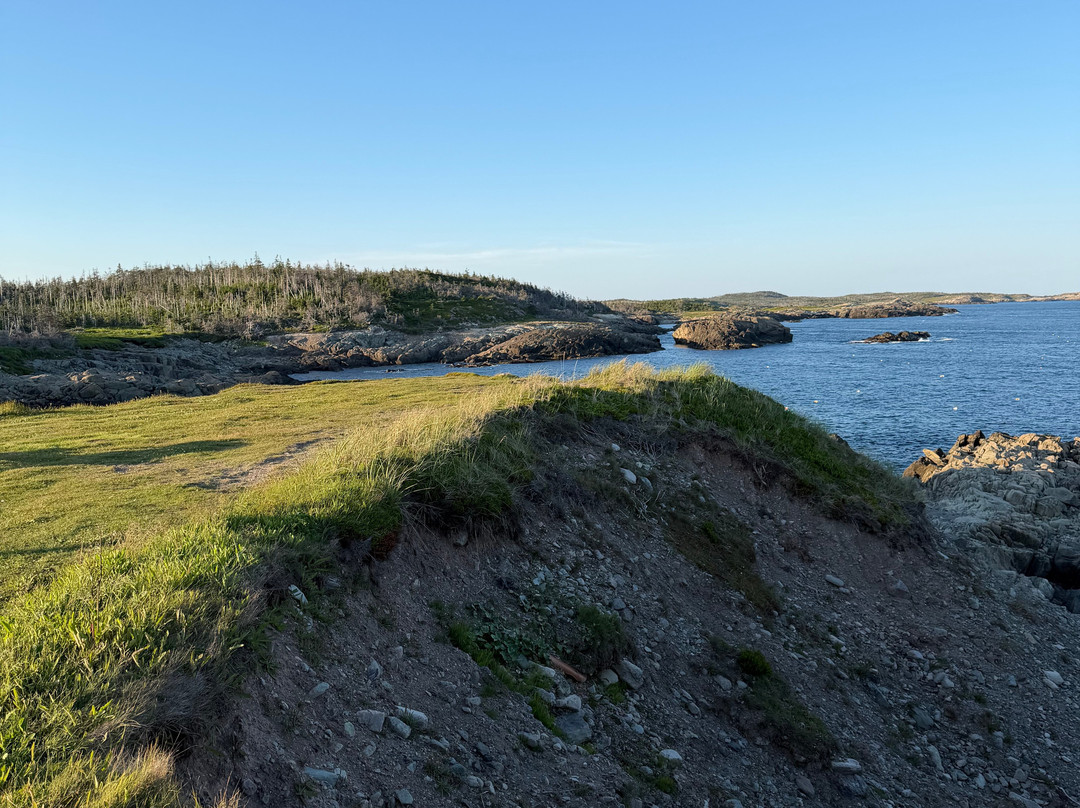 Louisbourg Lighthouse-Louisbourg必去景点