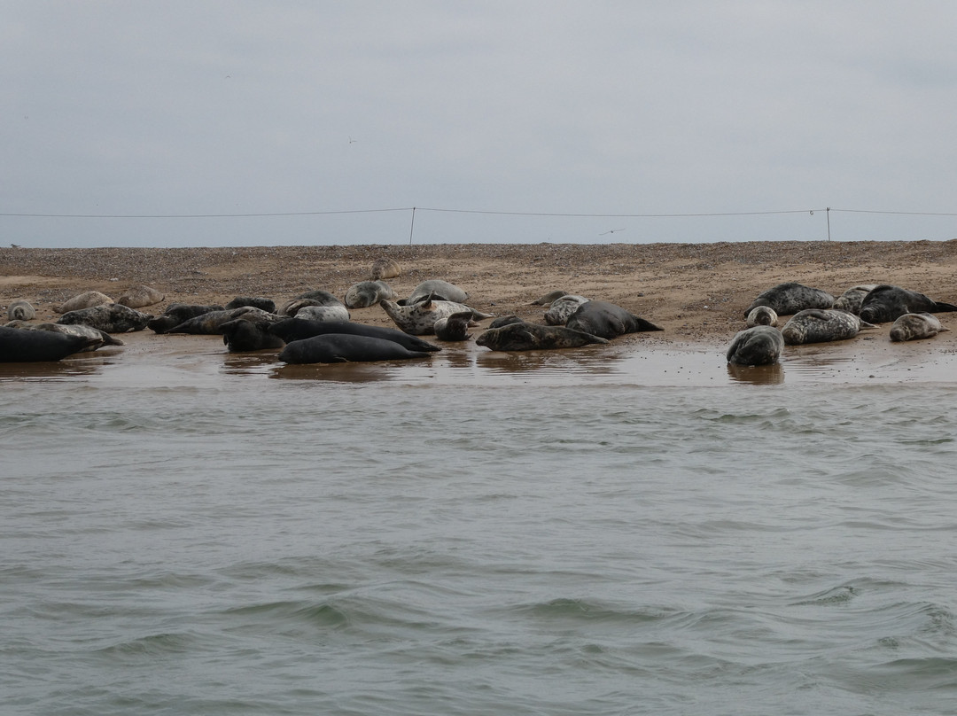 Bishops Boats Seal Trips-布莱克尼必去景点