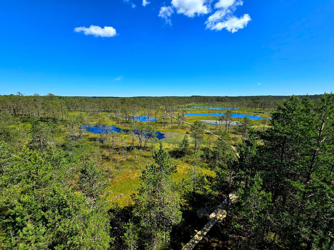 Viru Bog Trail-Kolga必去景点