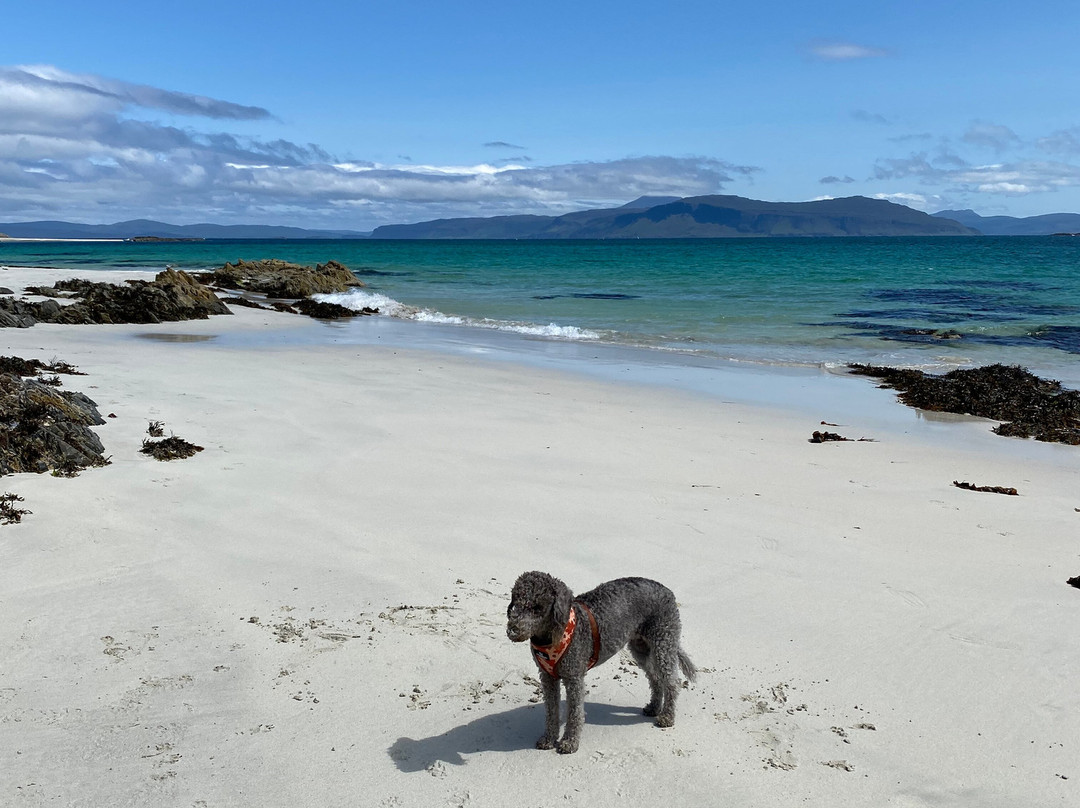 Seafari Adventures (Oban)-Ellenabeich必去景点