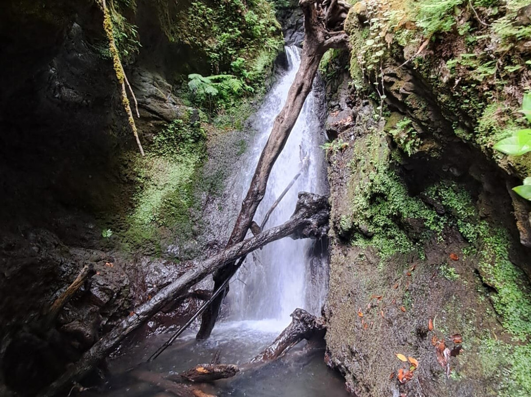 PR16 Levada Fajã do Rodrigues-Sao Vicente必去景点