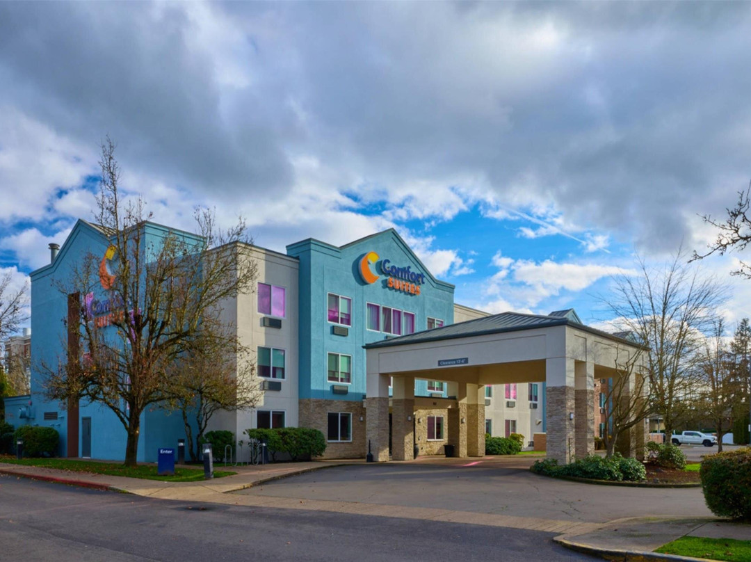 斯普林菲尔德酒店住宿-Comfort Suites Springfield RiverBend Medical