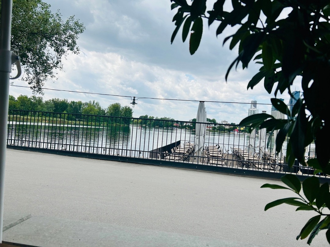 Strandcafé Alte Donau