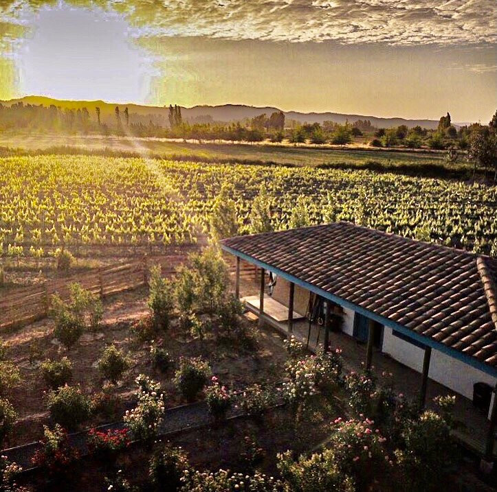 Winery Studios at La Despensa Boutique