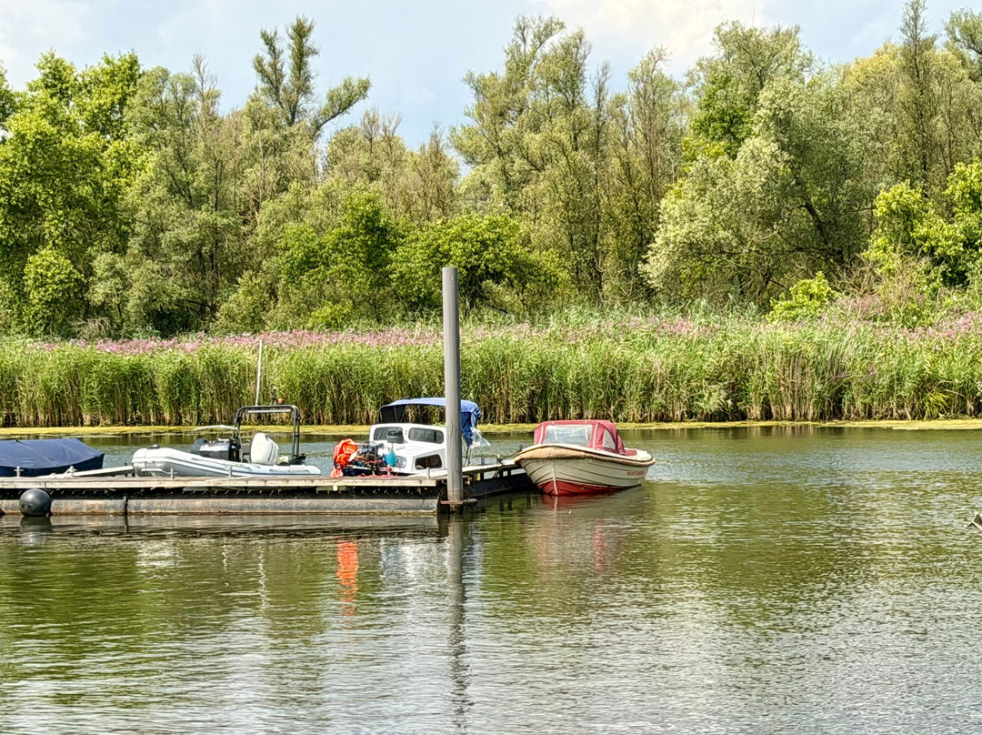 National Park De Biesbosch-Drimmelen必去景点