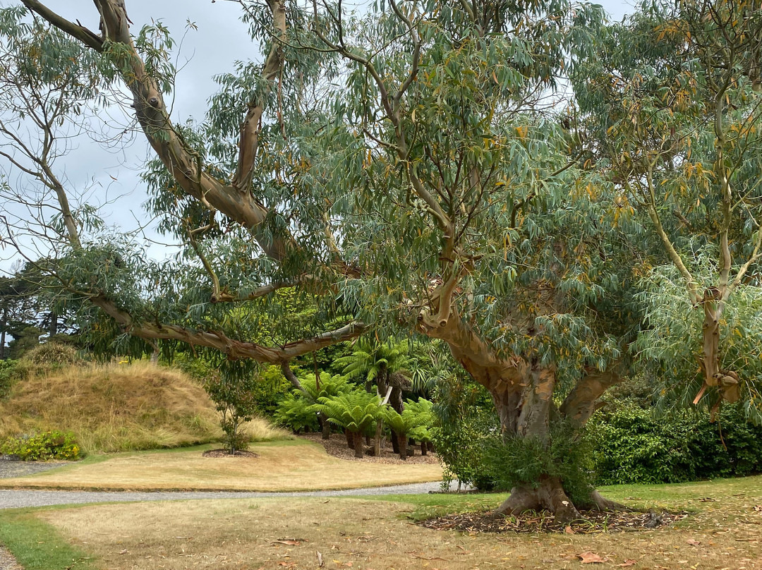 Logan Botanic Garden-Port Logan必去景点