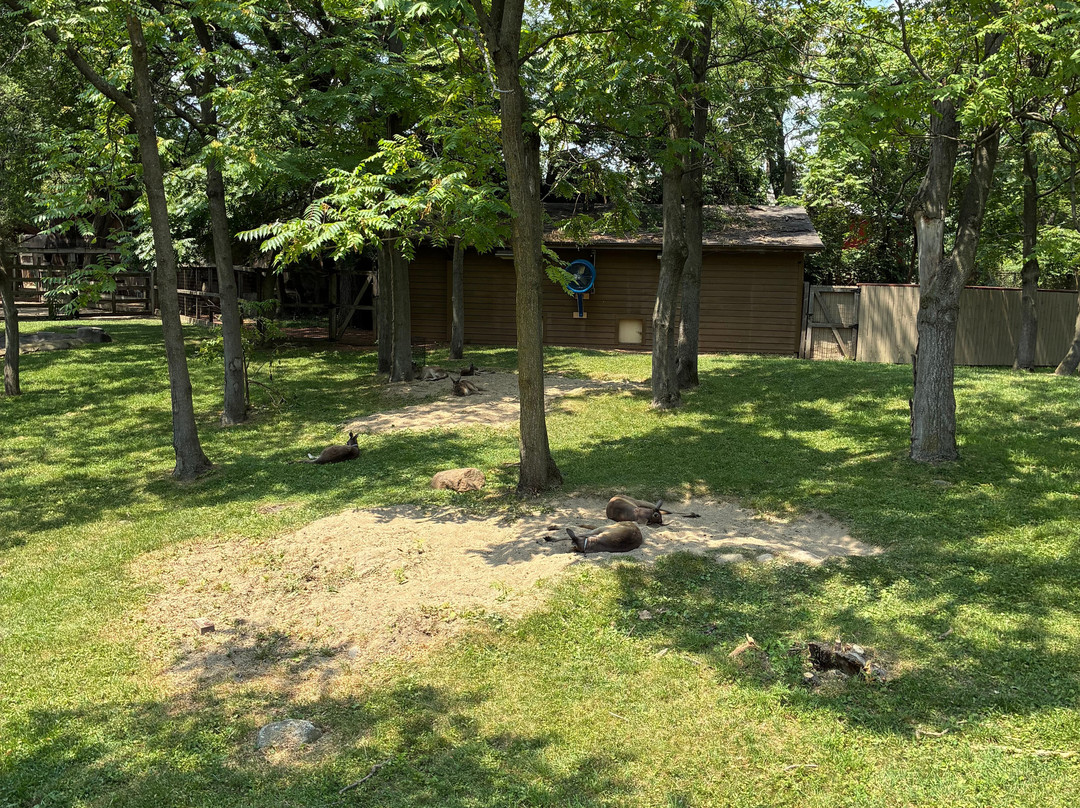 Brookfield Zoo-Brookfield必去景点
