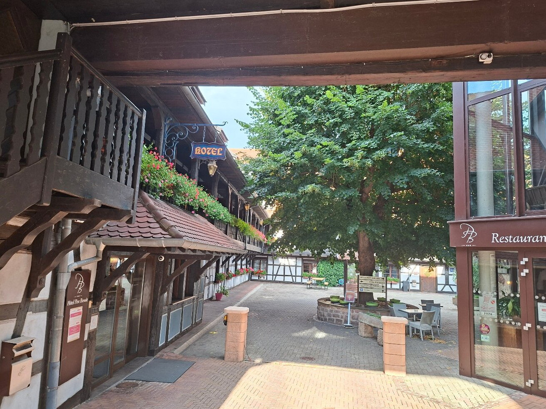 Hotel Restaurant Père Benoît主图